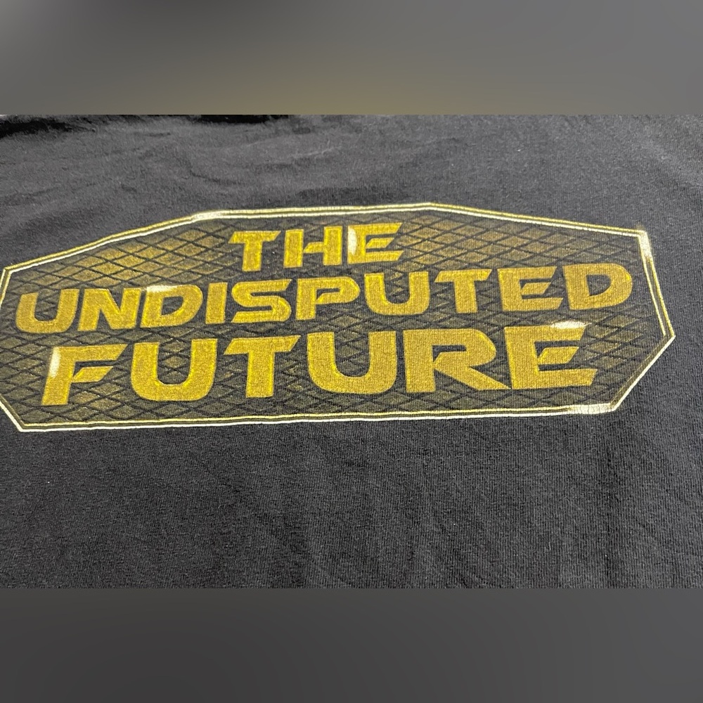 3/$15 WWE Seth freakin Rollins The Undisputed Future T-Shirt Medium - Picture 8 of 9